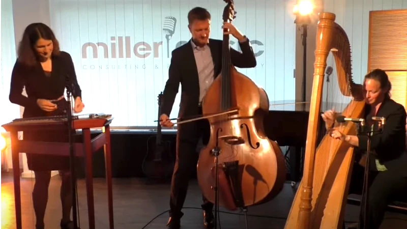 Miller Music Special Act Saitentratzer